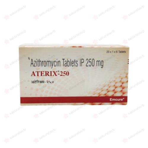 아지트로마이신 ATERIX 250mg 480정