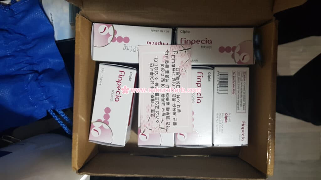 핀베시아 수령