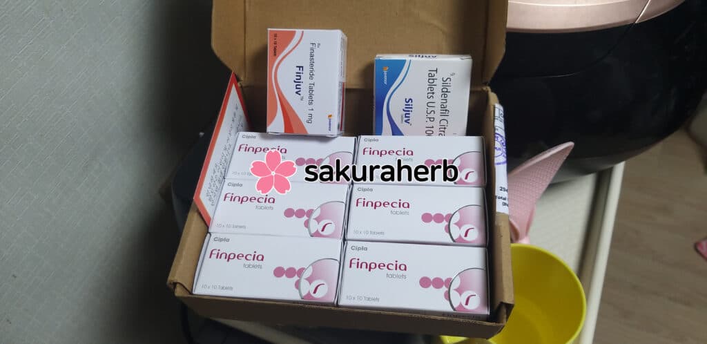 핀페시아 600정