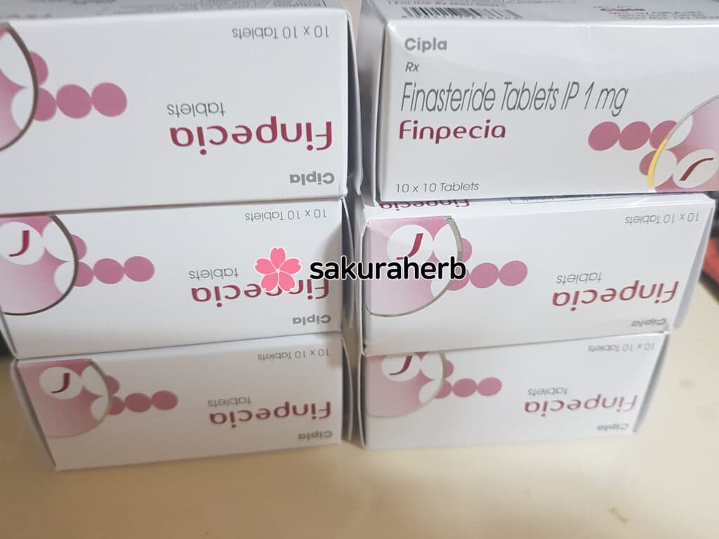 핀페시아 잘왔습니다