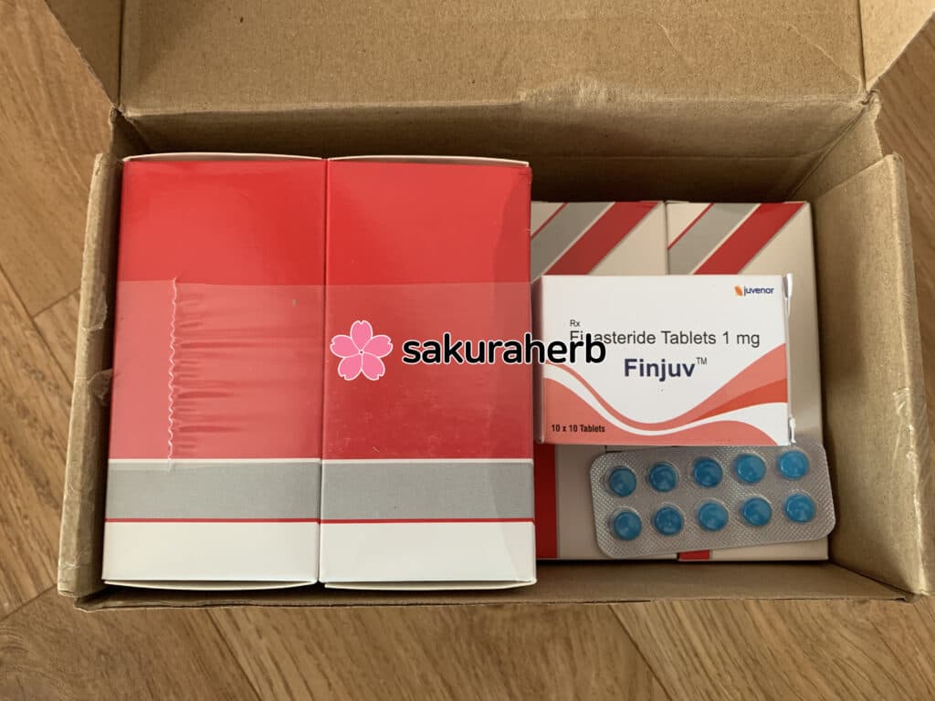 핀페시아 → 피나로 후기입니다.