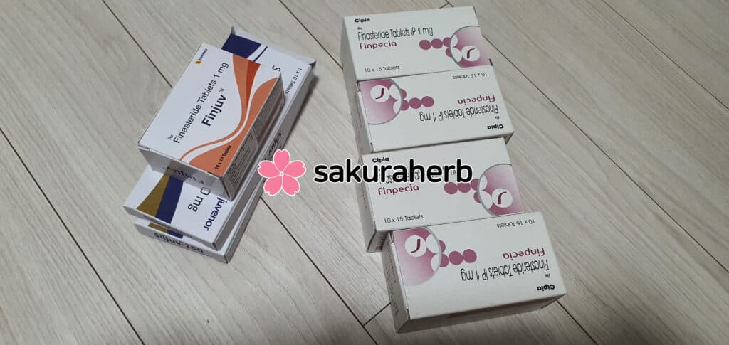 핀페시아 도착했어요