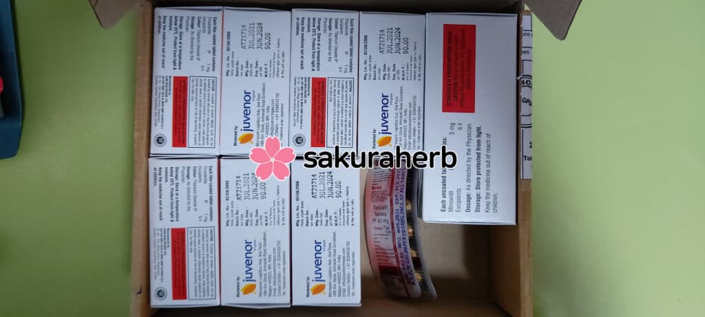 핀주브(피냐) 민주브(미녹) 무사히 도착.