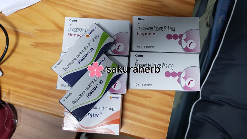무사히 도착 했습니다~