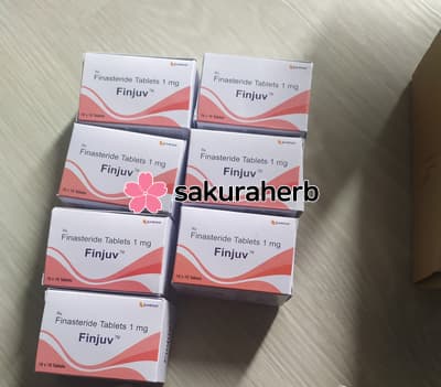 핀주브 프리미엄 푸기!