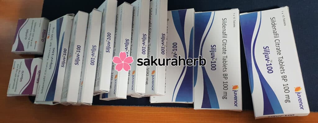 실주브 100mg 100정