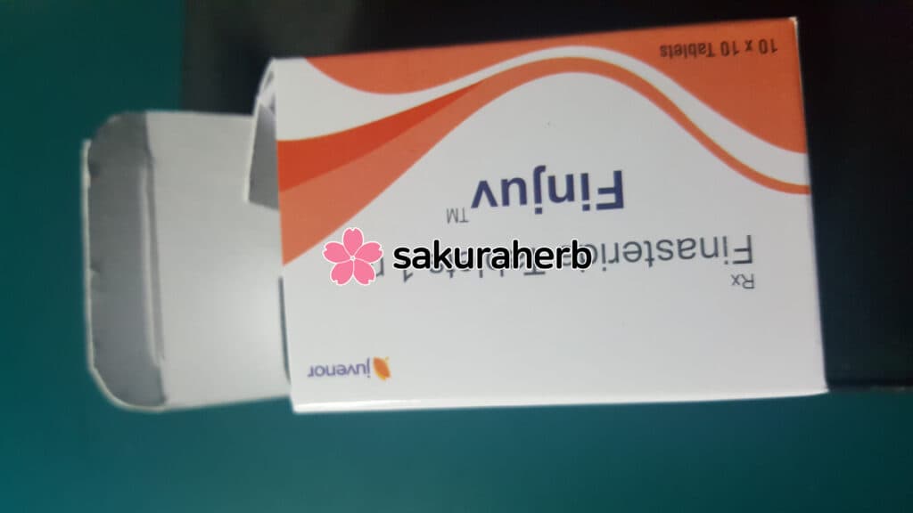 핀페시아에서 핀주브로