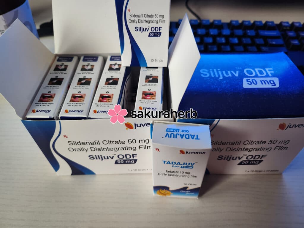 이번엔 들고 다니기 편한걸로...