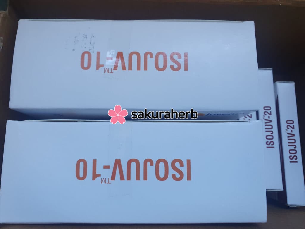 아이소주브