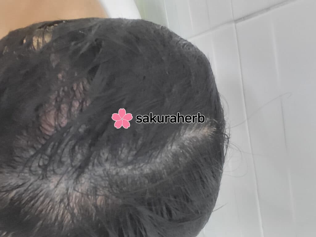 득모 기원합니다