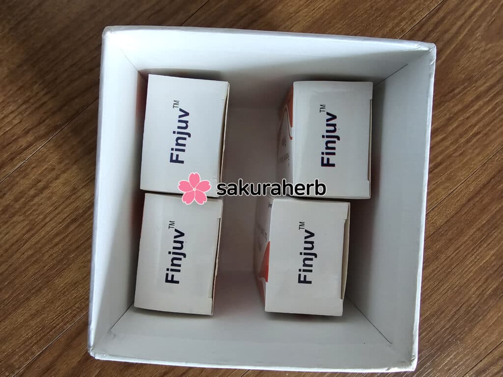 핀주브 후기