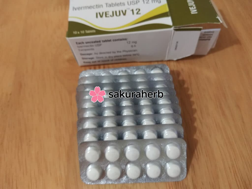 프리미엄 후기.