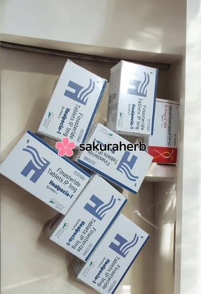 사쿠라허브 최고