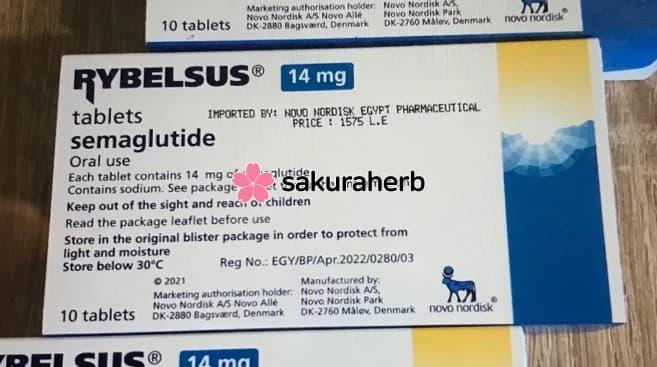 후기 - RYBELSUS 14MG