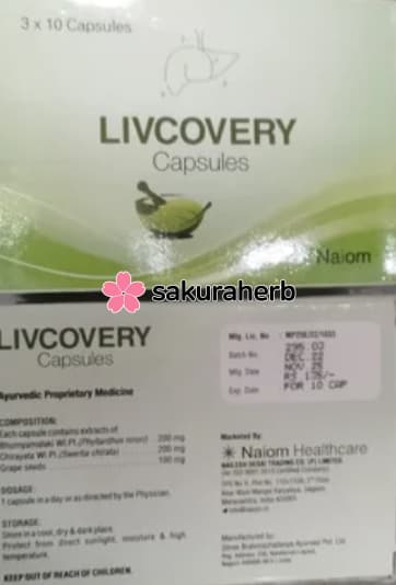후기 - Livcovery 30Cap Box