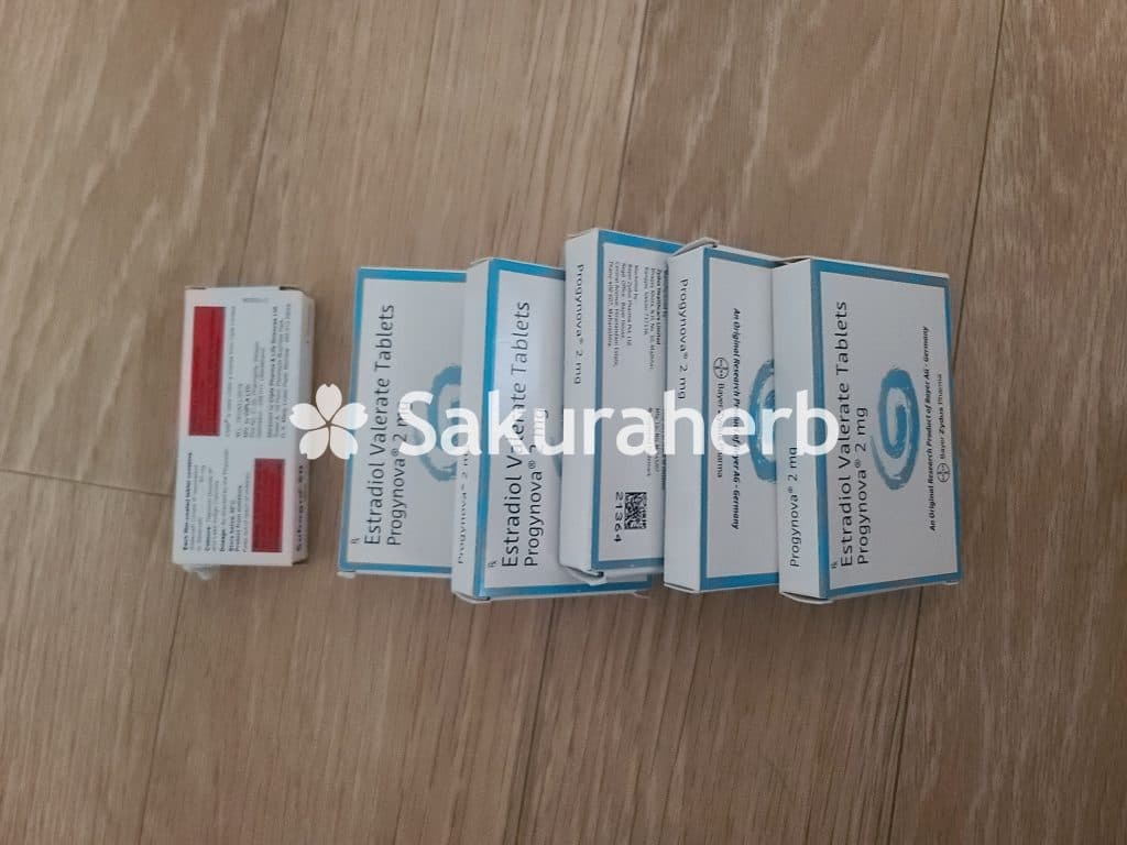 후기 - 프로기노바 2 ( 에스트라디올 estradiol 2mg )