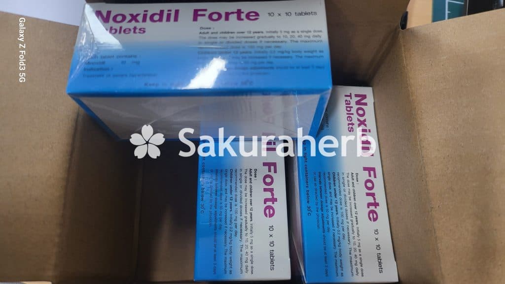 후기 - 녹시딜 포르테 테블릿 (미녹시딜 Minoxidil 10mg)