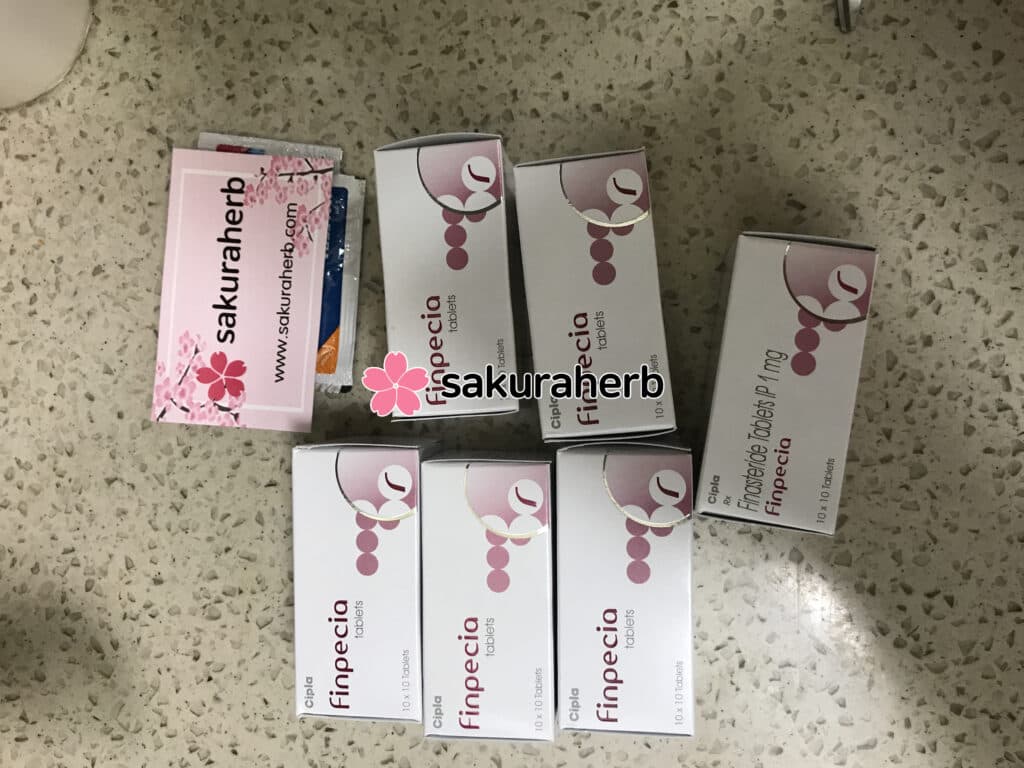핀페시아 600정