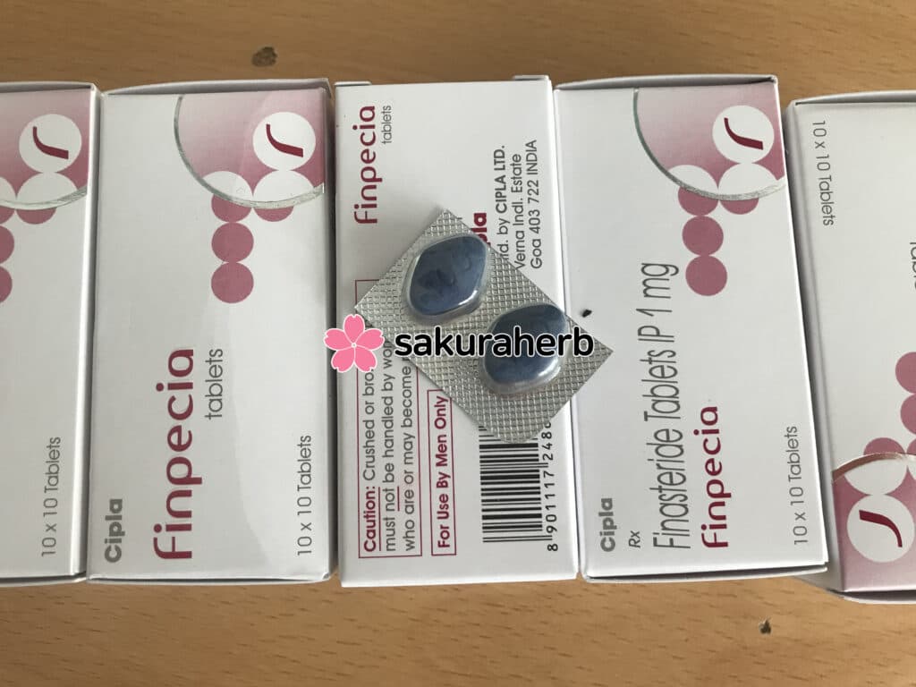 핀페시아 도착 완료
