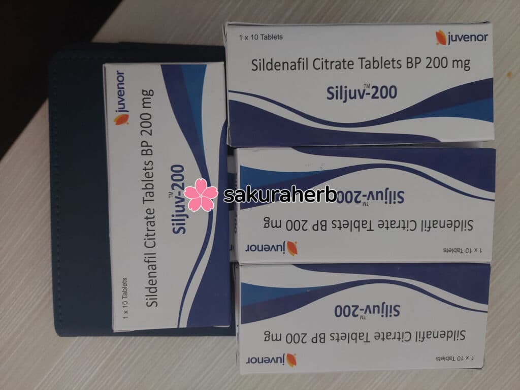 항상 믿음의 사쿠라허브