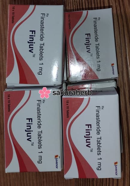 핀주브 구매 후기