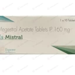 메게이스 메게스트롤 ES Mistral 메게이스 메게스트롤 ES Mistral