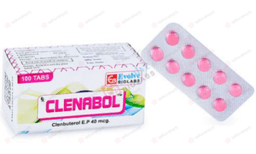 클레나볼 ( 클렌부테롤 Clenbuterol 40mcg ) 클레나볼 ( 클렌부테롤 Clenbuterol 40mcg )