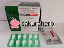 후기 - Glyciphage SR 500mg 100tab